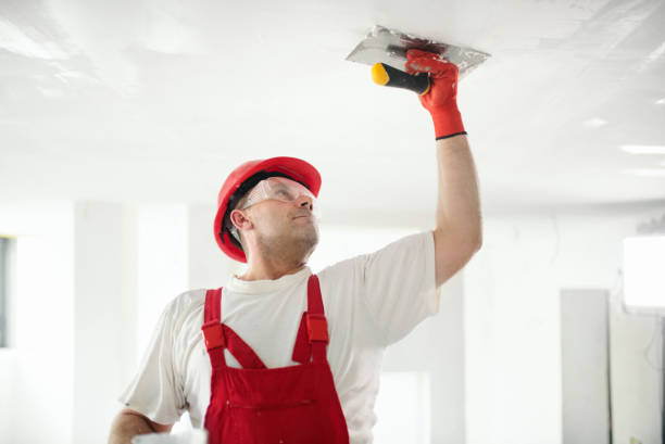 Professional Painting in Lapeer, MI